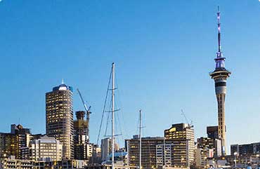 Study in Newzealand